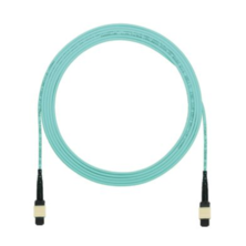 <p>PANDUIT OM4 12F PANMPO™ MALE TO MALE INTERCONNECT CABLE ASSEMBLIES</P>